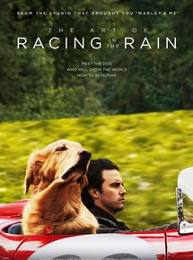 the art of racing in the rain